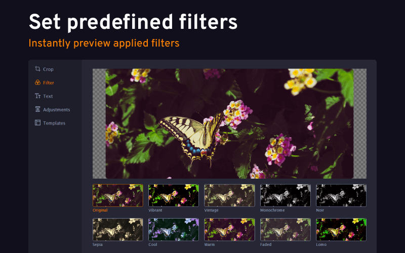 Set predefined filters and instantly preview them